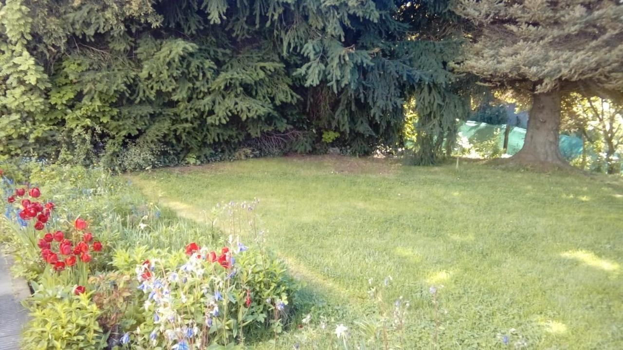 فندق Hosteria Wikter سان كارلوس دي باريلوتشي المظهر الخارجي الصورة